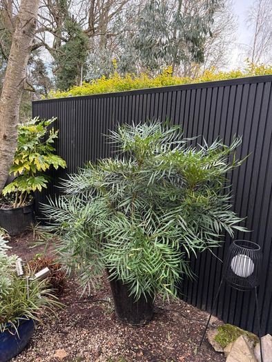 Composite cladding