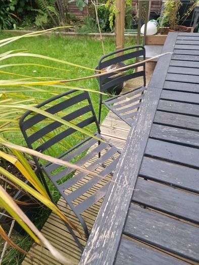 Garden Table and Chairs