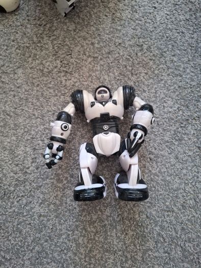 Robots