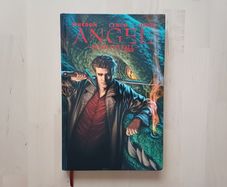 Angel - After the Fall Vol. 1 (Buffy the Vampire Slayer Spinoff Graphic Novel Hardback 2008)