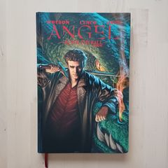 Angel - After the Fall Vol. 1 (Buffy the Vampire Slayer Spinoff Graphic Novel Hardback 2008)