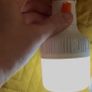bulb Image 2