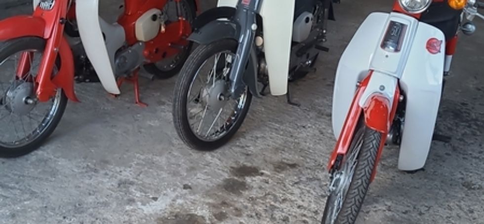 Honda c50