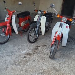 Honda c50