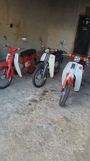 Honda c50