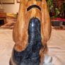 Large English Ceramic Pottery Hound Dog Image 4