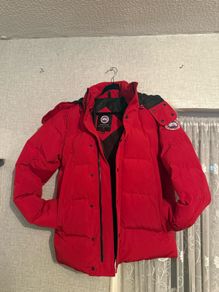 canada goose
