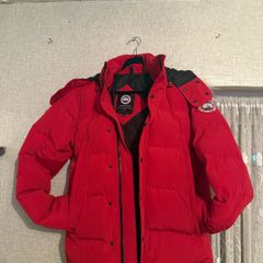 canada goose