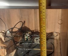 Large reptile vivarium