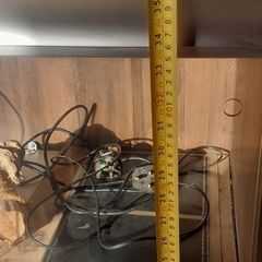 Large reptile vivarium