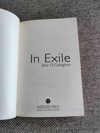 In Exile by Billy O Callaghan 2008 short stories collection in very good condition FREE STANDARD POSTAGE INCLUDED