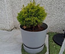Large Plant Pot