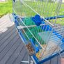 bird cage and stand Image 4