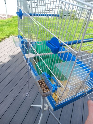 bird cage and stand