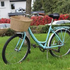 Barracuda Dorado 7 Ladies City Bike 26 Inch Small Frame Basket