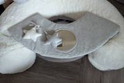 Baby seat