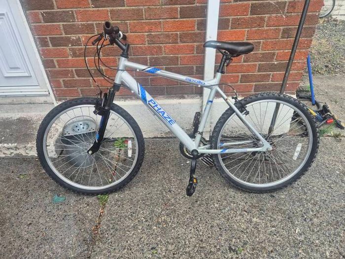 adults bike