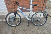 adults bike