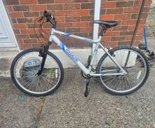 adults bike