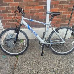 adults bike