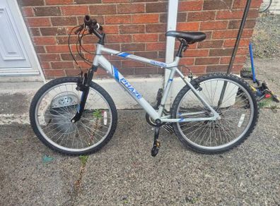 adults bike
