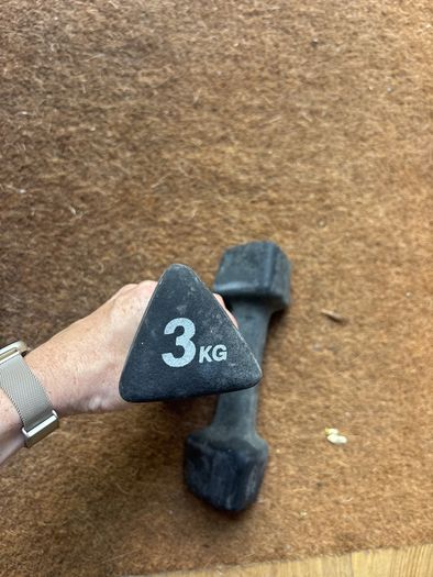 Adidas weights 3kg