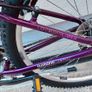 Apollo Jewel Mountain Bike  Small Size  Like New Image 5