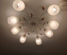 Ceiling Light