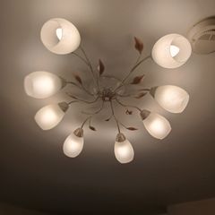 Ceiling Light
