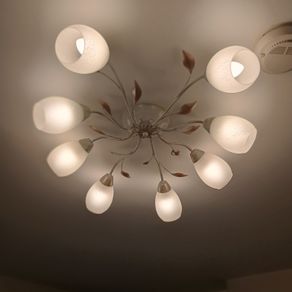 Ceiling Light