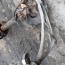 Bmw 3 Series E46 Front Right Leg Brake Disc Suspension Hub Damper Image 3