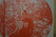 Owen Pallett - Heartland CD/ Twelve Songs. 2 CD.