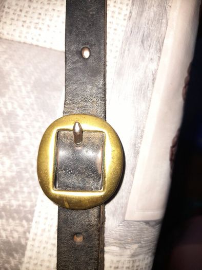 Horse Brass Martingale Decorative Brass Plaques Mounted on a Leather Strap