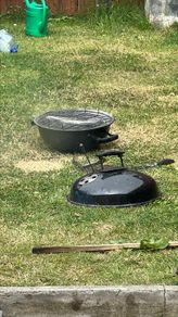 BBQ as seen