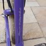 Electra Bike Image 5