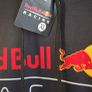 F1 Red Bull Racing Hoody Image 3