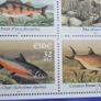 Irish Fresh Water Fish 2001.Set of four.Stamp booklet Pane.MNH. Image 2