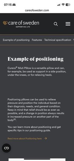 Curera Multi Pillow