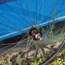 Fixie bike wheel set, lightweight. Image 6