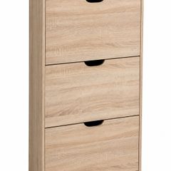 Shoe Cabinet