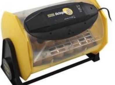 brinsea octagon 20 eco auto turner