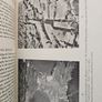 A View Of Ireland. 12 Essays On Different Aspects Of Irish Life And The Irish Countryside.  Edited By James Meenan & David A. Webb. First Edition Large Volume Hardback In Good Condition. See Photos For Same. Image 10