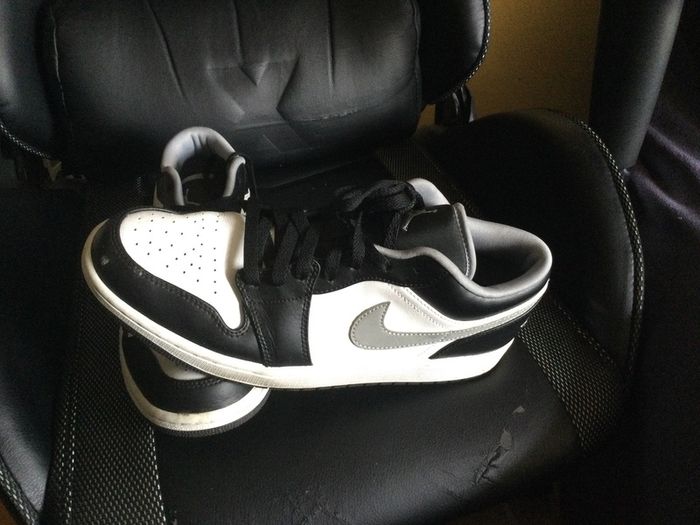 Jordan 1 low