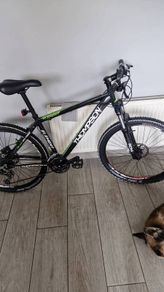 Thompson mountain bike 29"
