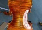 viola