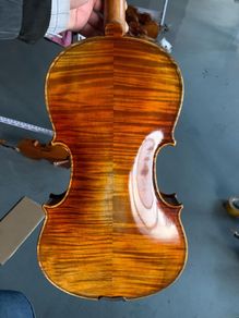 viola
