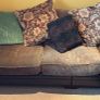 L shaped couch Image 3