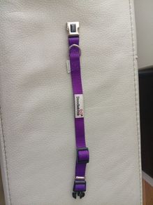 Doodlebone Dog Collar