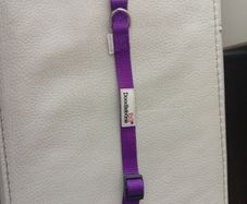 Doodlebone Dog Collar