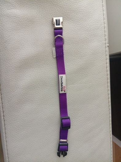 Doodlebone Dog Collar